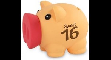 Miko - Spaarvarkentje - Sweet 16
