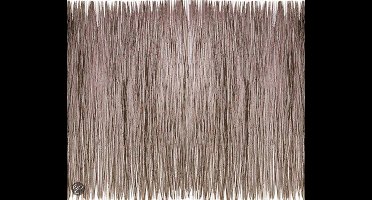 Woodvision Schutting Wilgentenenmat | 200 x 200