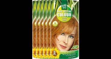 Hennaplus Long Lasting Colour 8.4 Copper Blond Voordeelverpakking