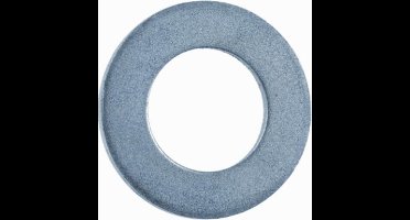 ASF Fischer Sluitring