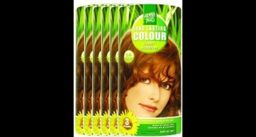 Hennaplus Long Lasting Colour 6.45 Copper Mahogany Voordeelverpakking