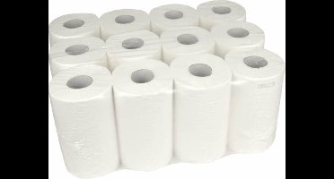 Handdoekrol Mini 1-laags • 12 rollen x 120 m – Professioneel Hygiënepapier