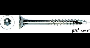 PGB Torx PFS schroef deeldraad verzinkt 6x100 mm. T-30