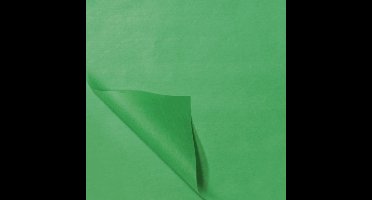 zijdevloeipapier 50 x 70 cm 100 vel groen