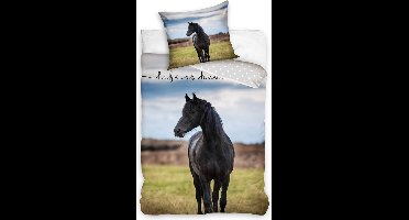 Animals Black Horse Beddingset 140×200cm, 70×90 cm