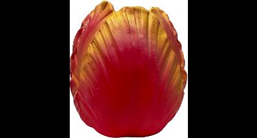 Toulon Burning Flame Red vaas, tulpenvaas 11x11x12 cm nr 2.