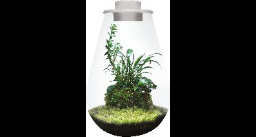 BIOART Drop 285 wit LED plantterrarium 5,1L met ventilatie