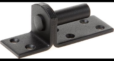 GB plaatduim zwart 16x45mm