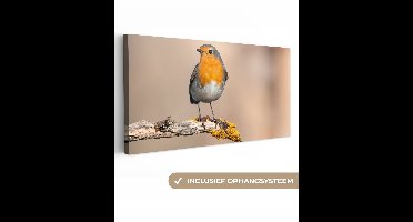 OneMillionCanvasses - Canvas - Schilderij - Roodborstje - Vogel - Takken - Dier - Foto op canvas - Slaapkamer - 100x50 cm - Canvas doek