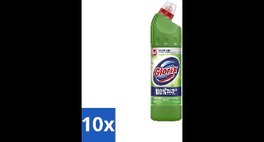 10 x Glorix - Bleek - Dennen - Bescherming tegen Kalkaanslag - 750 ml - Toilet Reinigen - Kalkaanslag Voorkomen - Hygiëne - Dennengeur - Vuil Verwijderen
