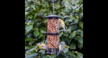 Pindasilo - Zwart (Vogelbescherming Nederland)