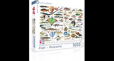New York Puzzle Company - Vintage Images Fish ~ Poissons - 1000 stukjes puzzel