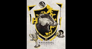 FaNaTik Poster - Harry Potter Gryffindor - 28 X 36 Cm - Multicolor