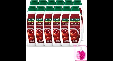 12 x Palmolive Naturals - Shampoo - Brilliant Color - Voor Gekleurd Haar - 350 ml - Bulkverpakking - Gekleurd haar - Haarkleur behouden