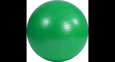 Moves Fitnessbal - Gymball - diameter 65 cm - Groen