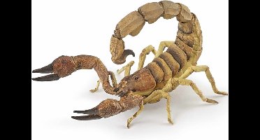 Papo Wild Life Schorpioen 50209