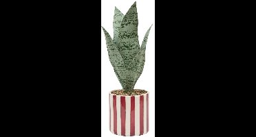 Kunstplant CHERI