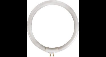 Velleman T4 vervanglamp 12W, koelwit 6500K, ronde buislamp, voor loeplamp VTLAMP10, helder flikkervrij werklicht, 720 lumen, elektronica, modelbouw, precisiewerk