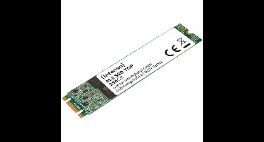 Intenso Top Performance, 1 TB SSD