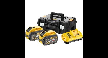 DEWALT DCB118Y2T-QW Accu Starterset