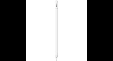 Apple Pencil stylus