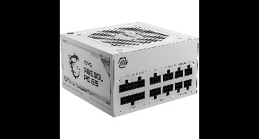 MSI MAG A850GL PCIE5 voeding