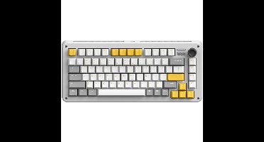 Iqunix ZX75 Gravity Wave Wireless Mechanical Keyboard gaming toetsenbord