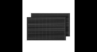 EcoFlow 2x 100W zonnepaneel met bevestigingsbeugels