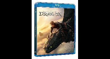 How to Train Your Dragon