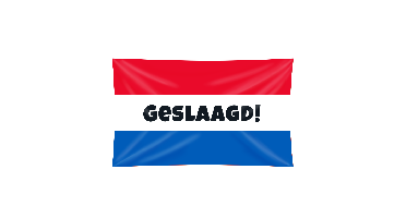 XXL gevelsvlag geslaagd rood-wit-blauw