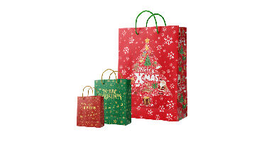 Paper Dreams Papieren kersttas XL