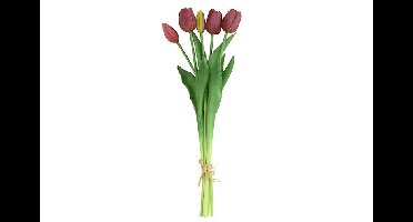 Decostar Countryfield tulipa boeket paars