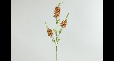 Decostar Countryfield Kunstbloem Eremurus bruin-L5B20H94CM