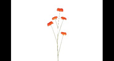 Decostar Countryfield Kunstbloem bloem Zinnia oranje