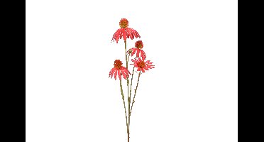 Decostar Countryfield Kunstbloem Echinacea rood-L10B10H77CM