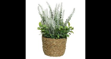 Everlands Lavendel - kunstplant in plantenmand - wit - D12 x H26 cm