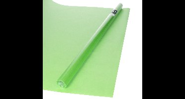 Bellatio decorations Cadeaupapier - groen - 200x70 cm - inpakpapier