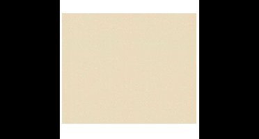 Herbruikbaar bakpapier - 40 x 33 cm - anti kleef - bakfolie?- 1x vel - tot 50x gebruik