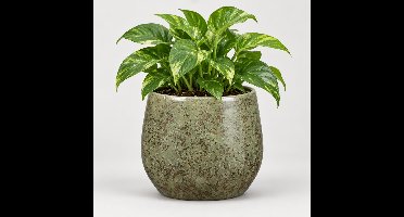 Mica Decorations Plantenpot - Terracotta - groen - 19 x 17 cm