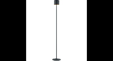 LED Vloerlamp - Musterring Marisa - 1 Lichtpunt van 3 Watt - Dimbaar - Aanpasbare Lichtkleur - Hoogte Aanpasbaar - Geheugenfunctie - Nachtlamp - Afstandsbediening - Mat Zwart - Metaal