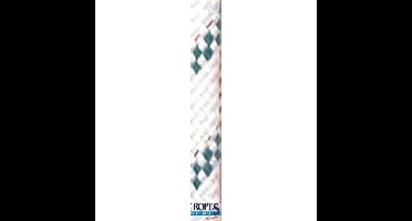 POL2205833710 - POLY-GEVLOCHTEN-24 10MM. GROEN (220 M