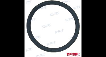 REC119578-49110 - THERMOSTAAT PAKKING Yanmar