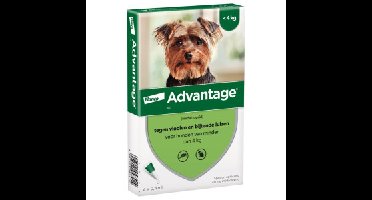 Advantage Nr. 40 vlooienmiddel (tot 4kg) hond 1 verpakking