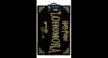 Harry Potter Doormat Alohomora 40 x 60 cm