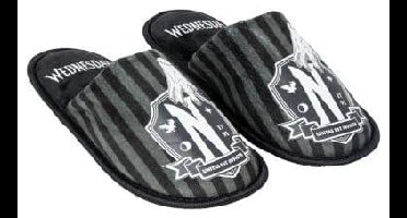Wednesday Open House Slippers Assortment (12)