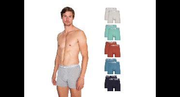10-pack Mario Russo boxers - heren - color