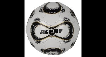 Alert Trainingsbal Met Koord Maat 2