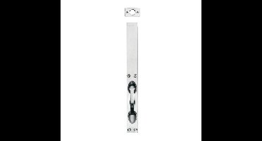 Intersteel Kantschuif 250x25mm - RVS