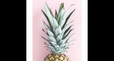 Ananas - Mini Poster (936)
