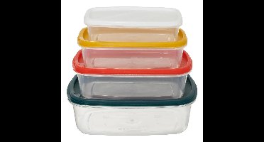 5five Vershoudbakjes nestbaar - 4-delig - meal prep - multi kleuren - luchtdicht